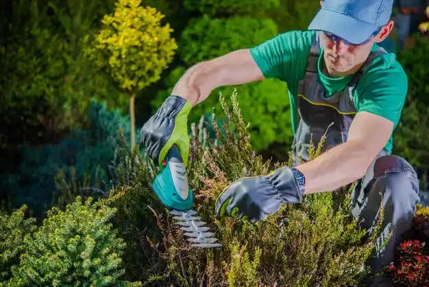 landscaping services Cardwell